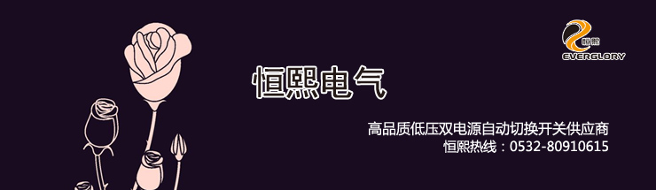 恒熙电气三八节日欢聚一堂 恒熙电气三八节日欢聚一堂